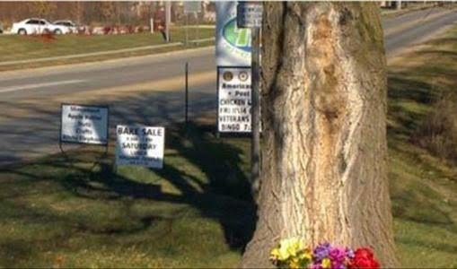 maria pohon Mexico.jpg